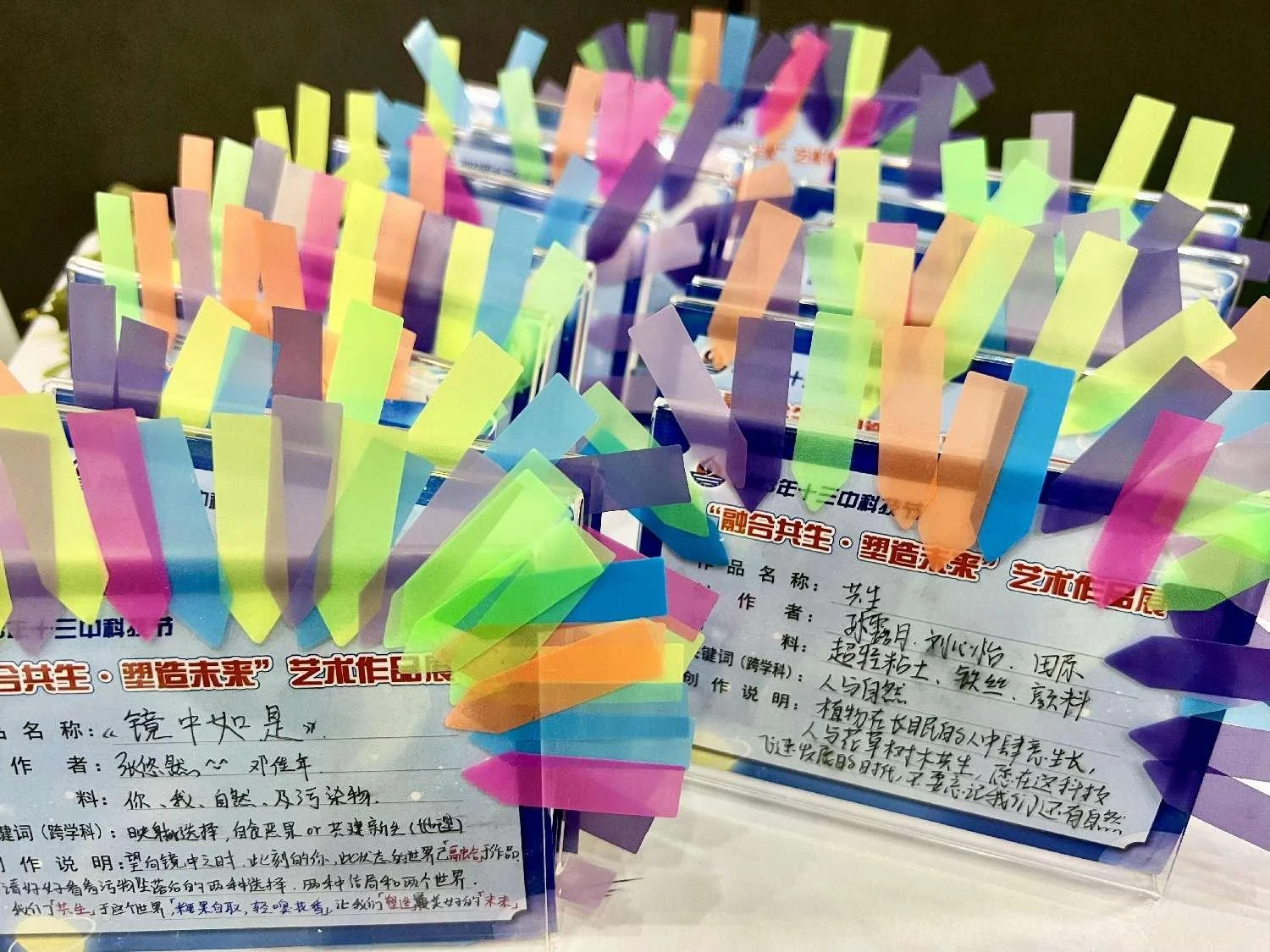 环保主题展览的观众投票纪念品